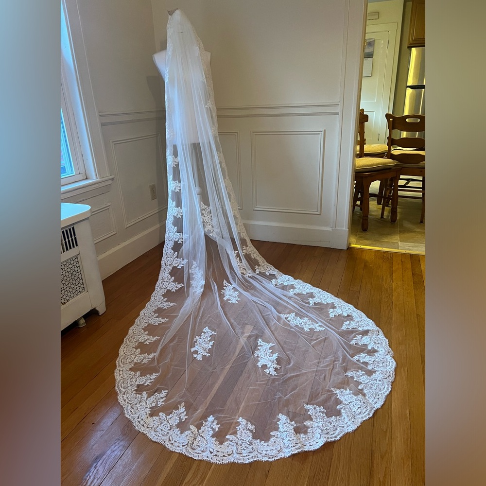 Stunning ivory lace cathedral bridal veil